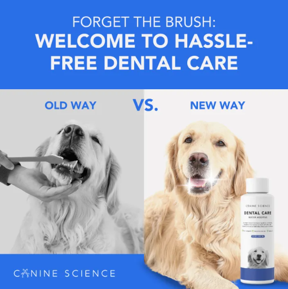 CANINE SCIENCE Dental Care – 300ml